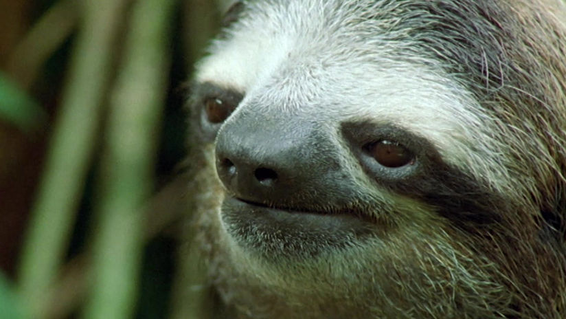 DA SOCIAL VIDEO DROP EVERYTHING